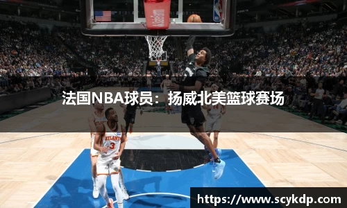 法国NBA球员：扬威北美篮球赛场