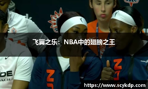 飞翼之乐：NBA中的翅膀之王